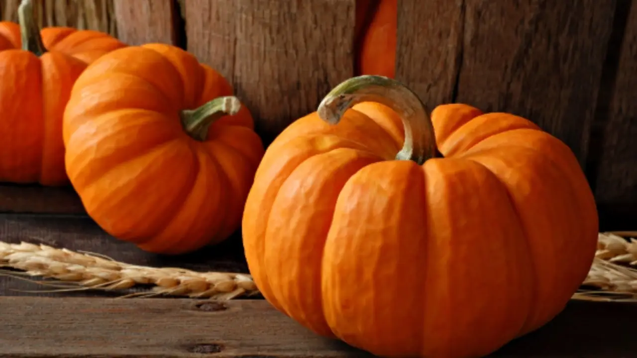 Autunno 2025: perché la zucca fa bene alla linea