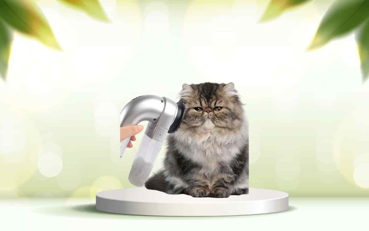 Elimina i peli degli animali in casa con SpazzolAmica: scopri la soluzione ideale